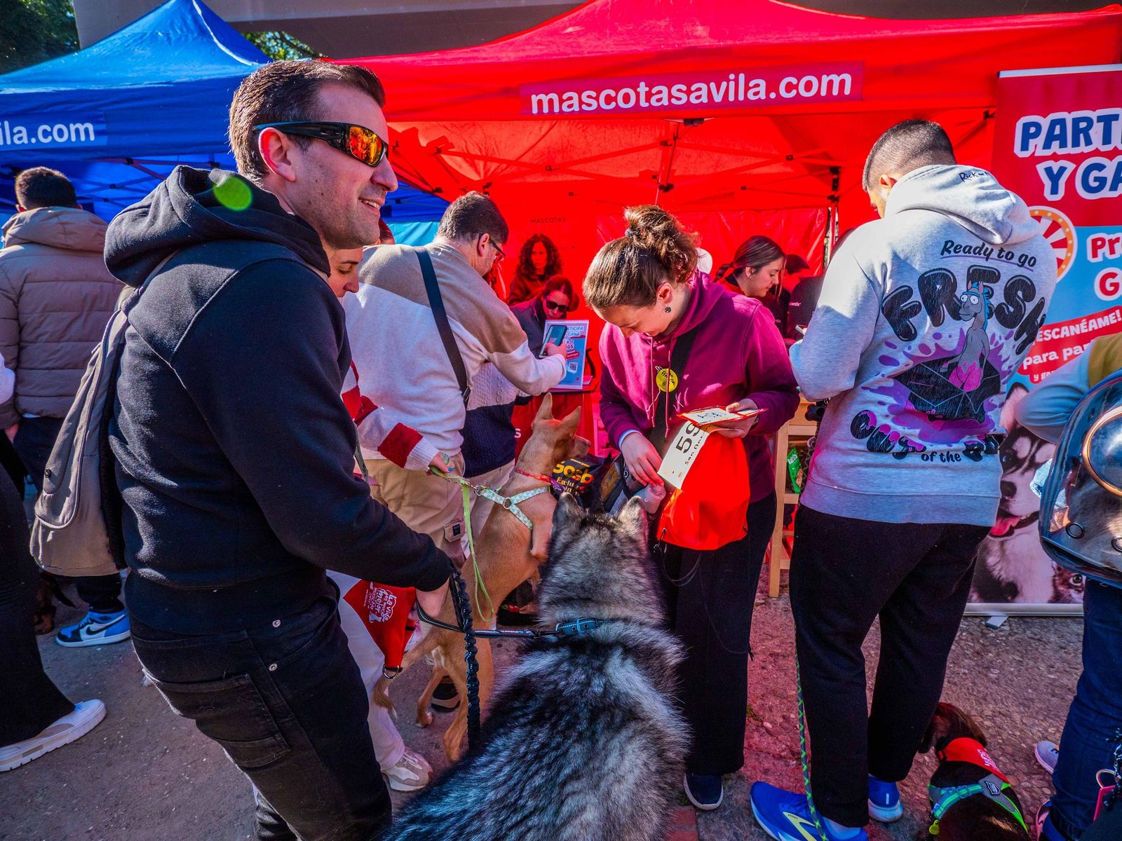 Las imágenes de San Antón 2025 en San Fernando