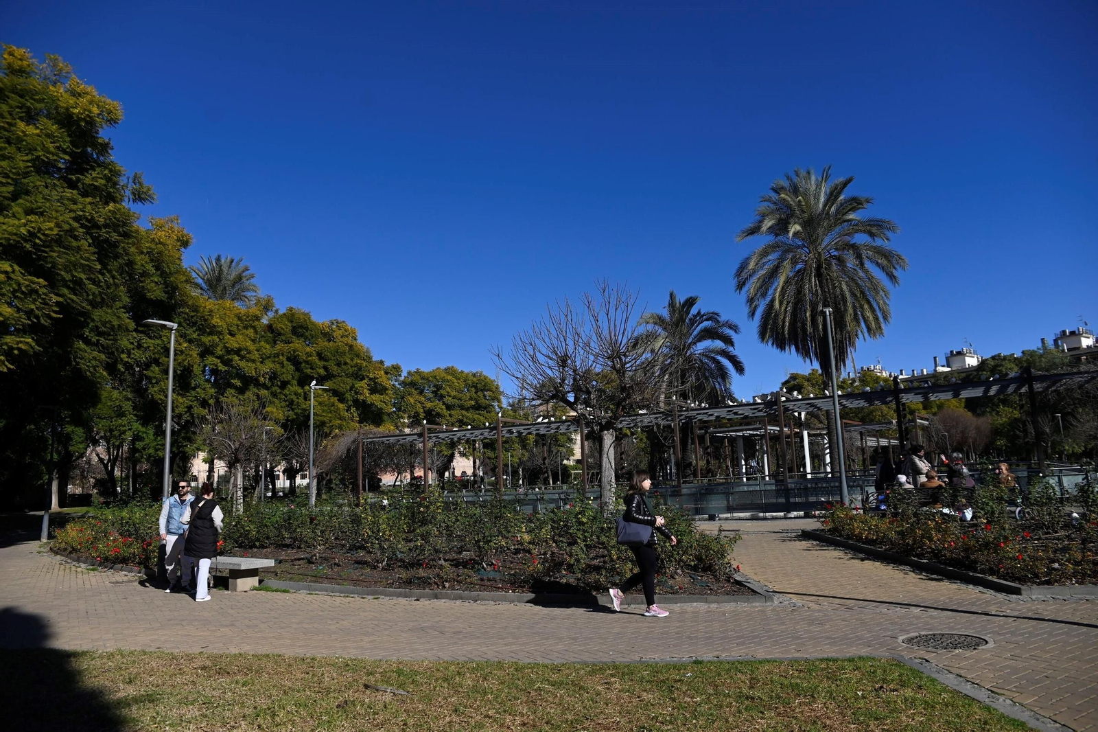 Un paseo en imágenes por Ciudad Jardín una fría jornada invernal