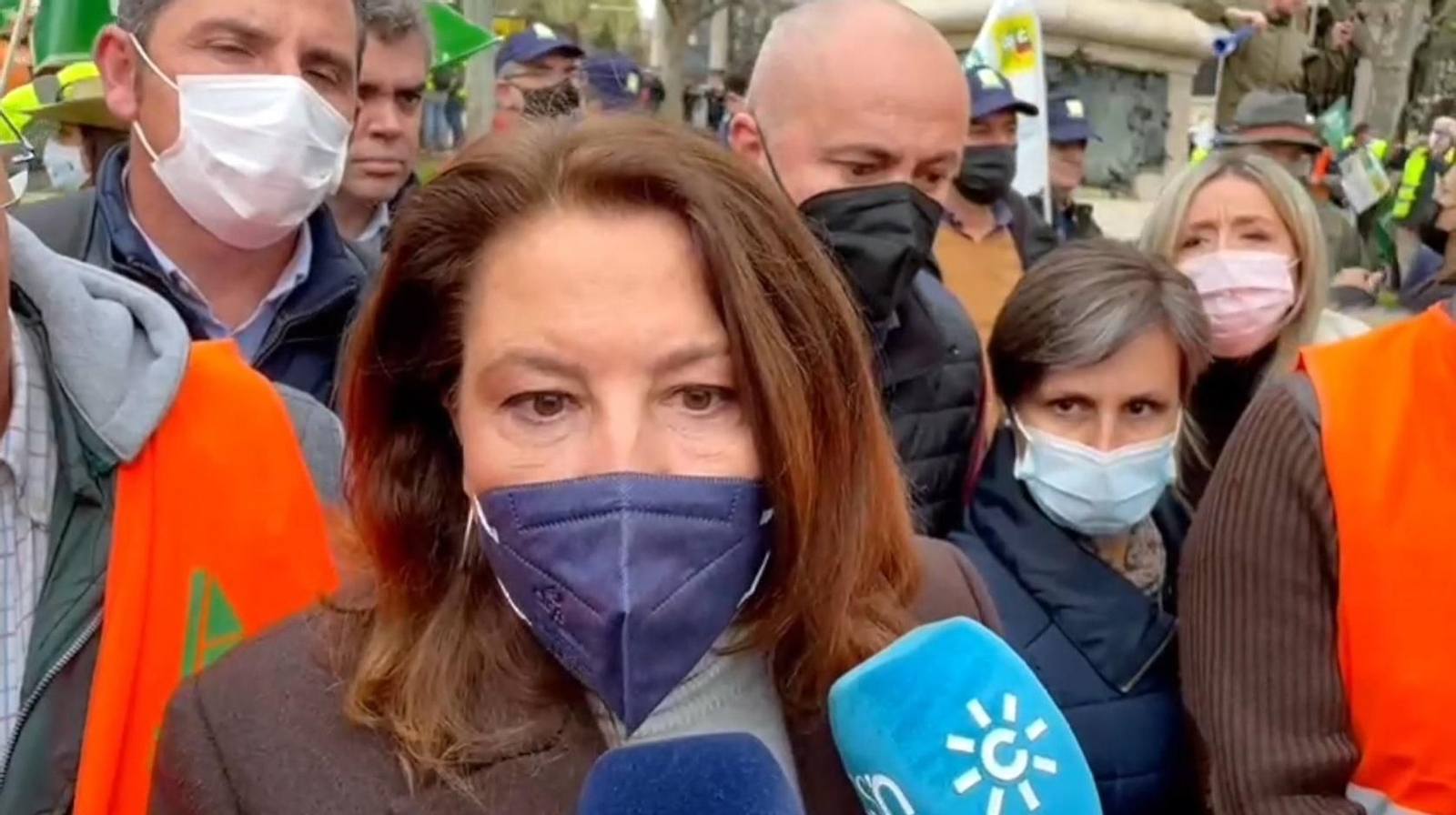 Tractores, rehalas de perros de caza y caballos en la manifestación del campo en Madrid