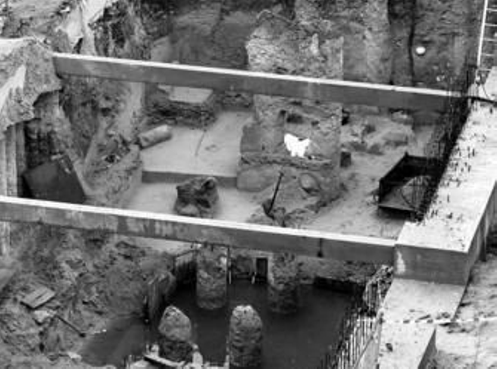 Imagen de los primeros esqueletos hallados en el solar a finales de marzo.