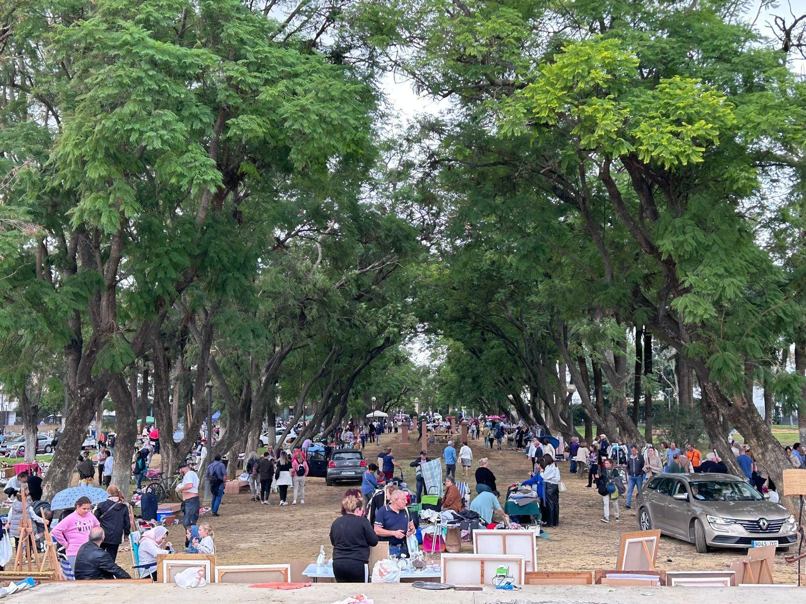 Rastrillo del domingo Jerez