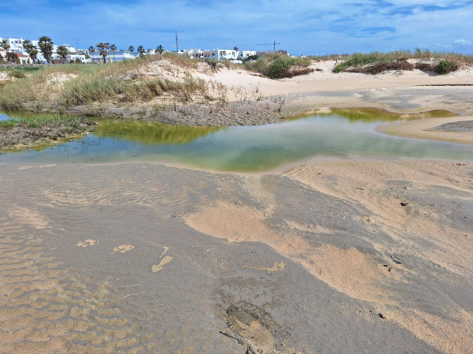 El vertido de aguas fecales en la playa de Los Lances de Tarifa, en imágenes.