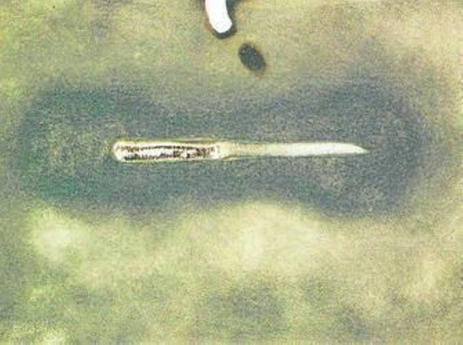 Los papeles de Tàpies