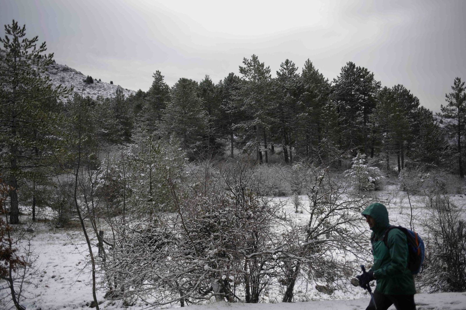 La excursiones a los parajes nevados de Málaga, en imágenes