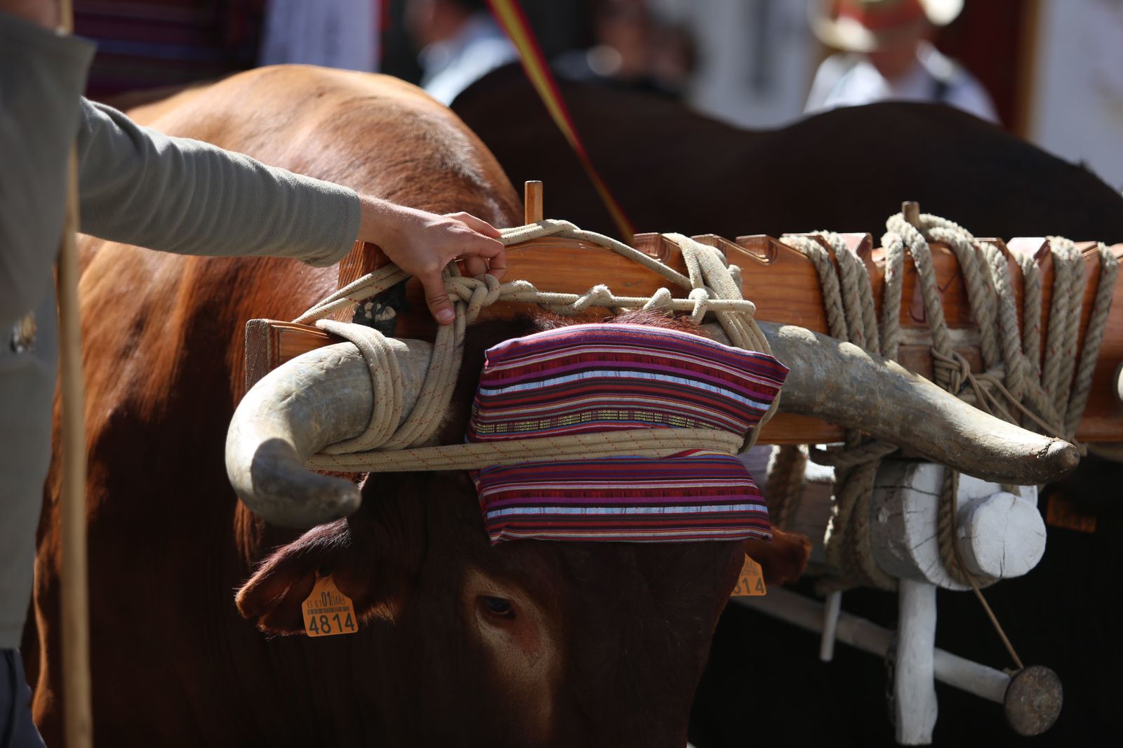 Salida de la Hermandad del Rocío de Triana