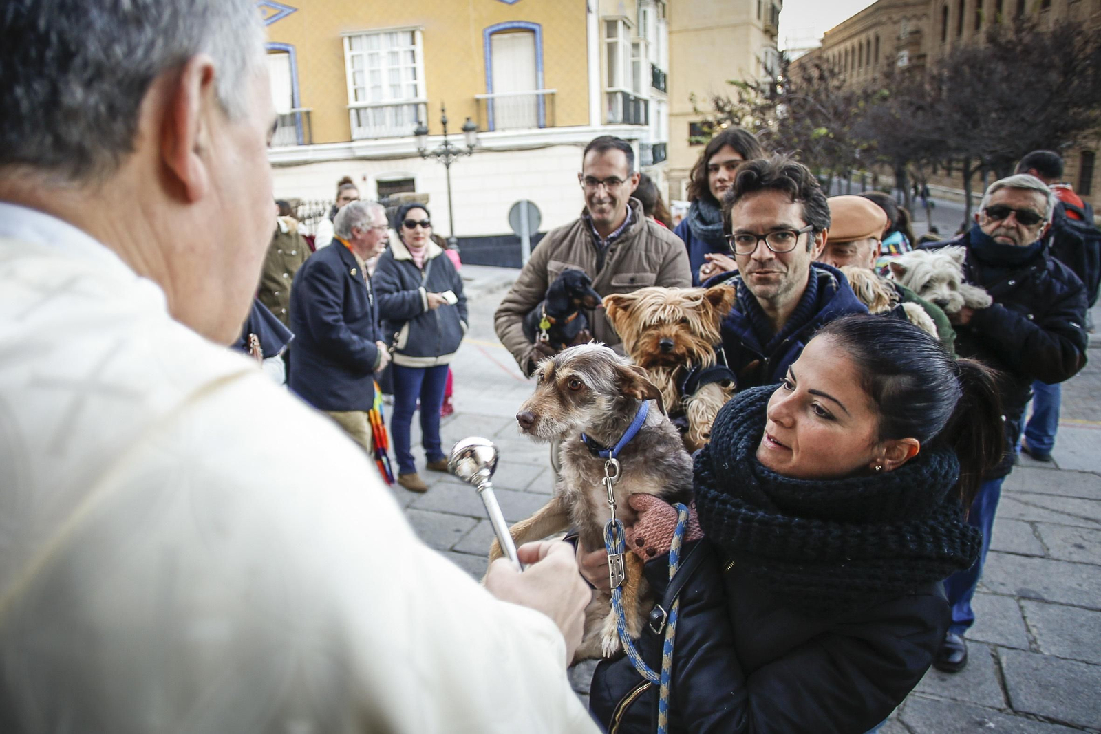 Bendición de animales en Santo Domingo