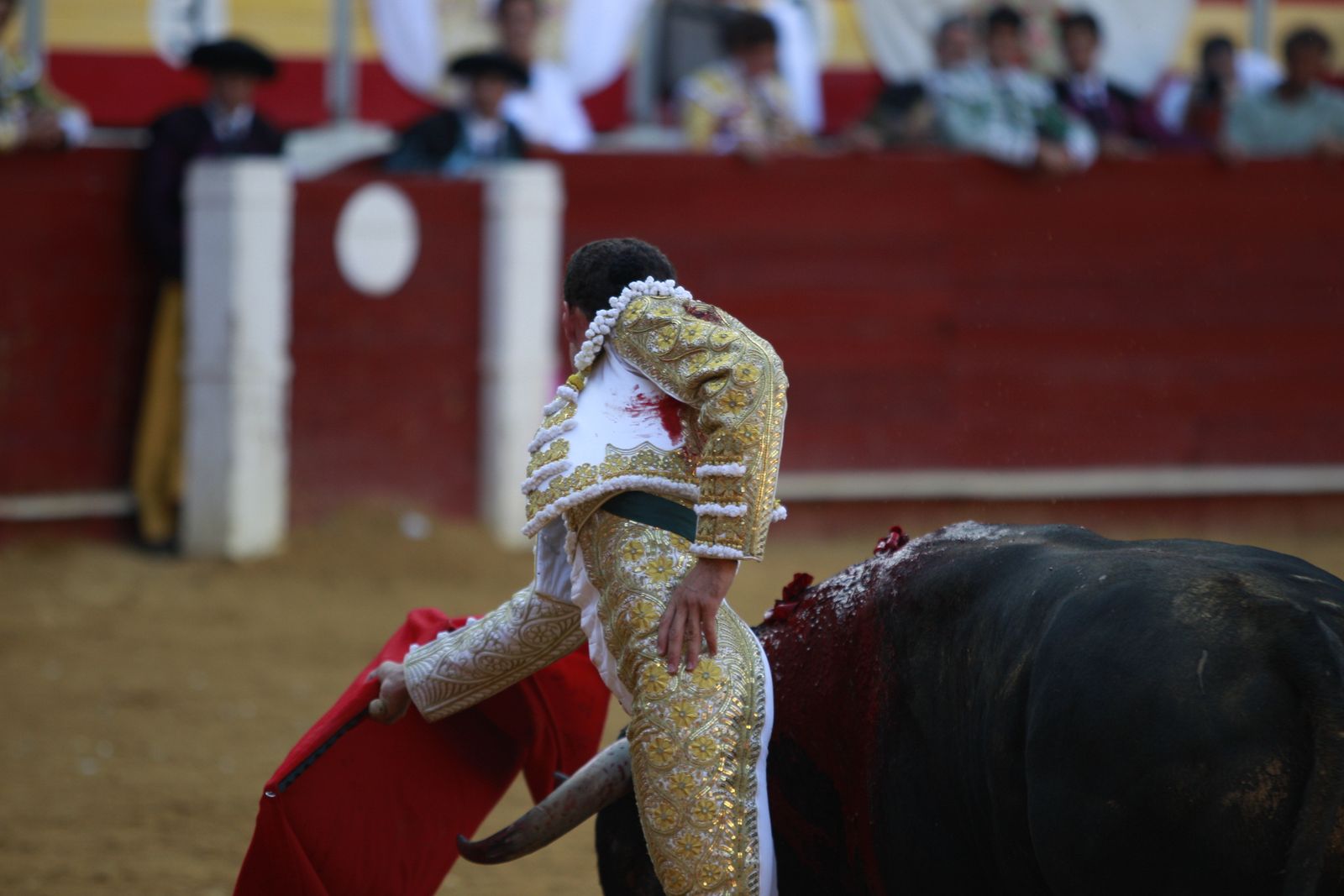Imágenes de la corrida de toros del jueves en la Feria de Almería 2024