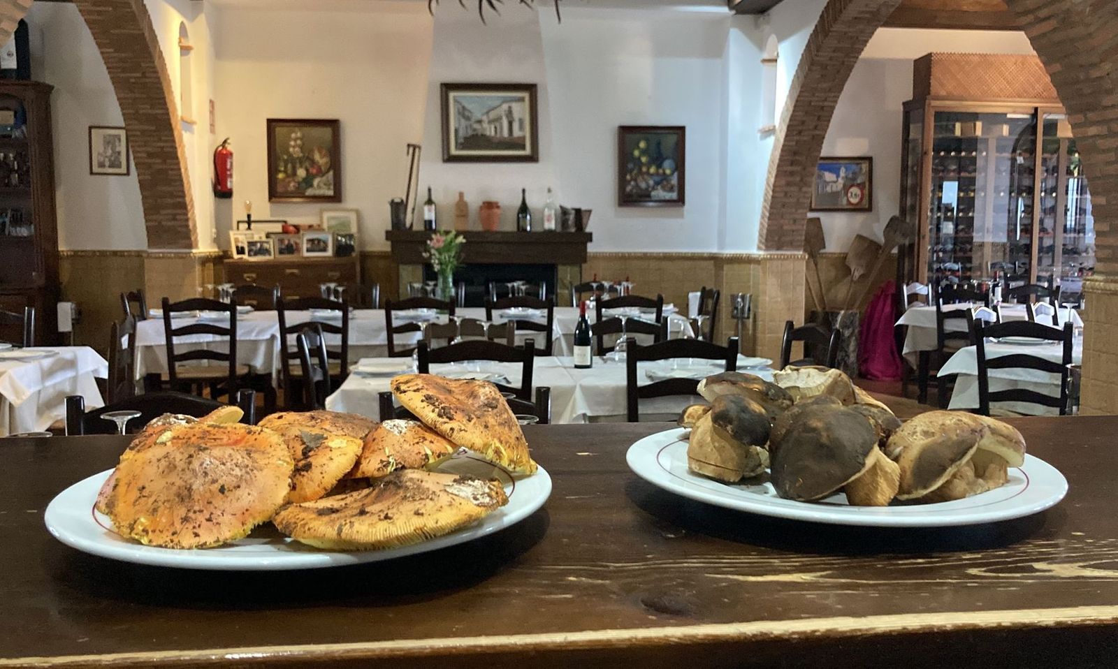 La deliciosa seta de otoño de la Sierra de Aracena que ha reaparecido en pleno mes junio