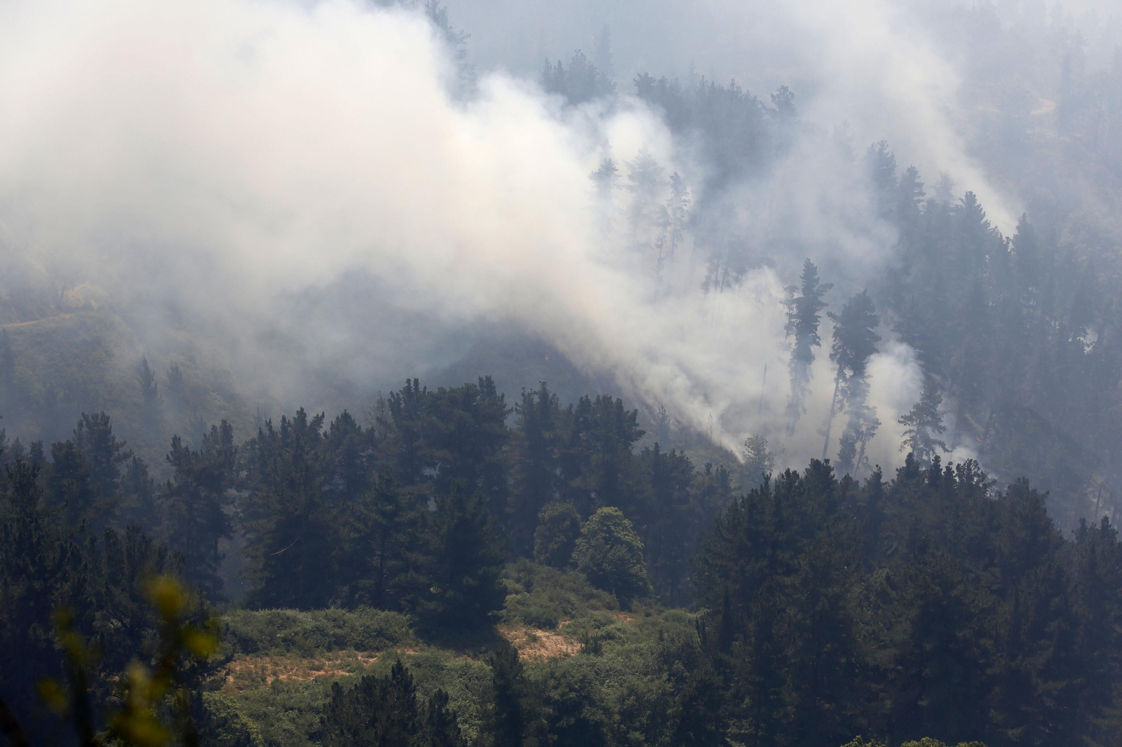 Las fotos del tercer día del incendio en Sierra Bermeja