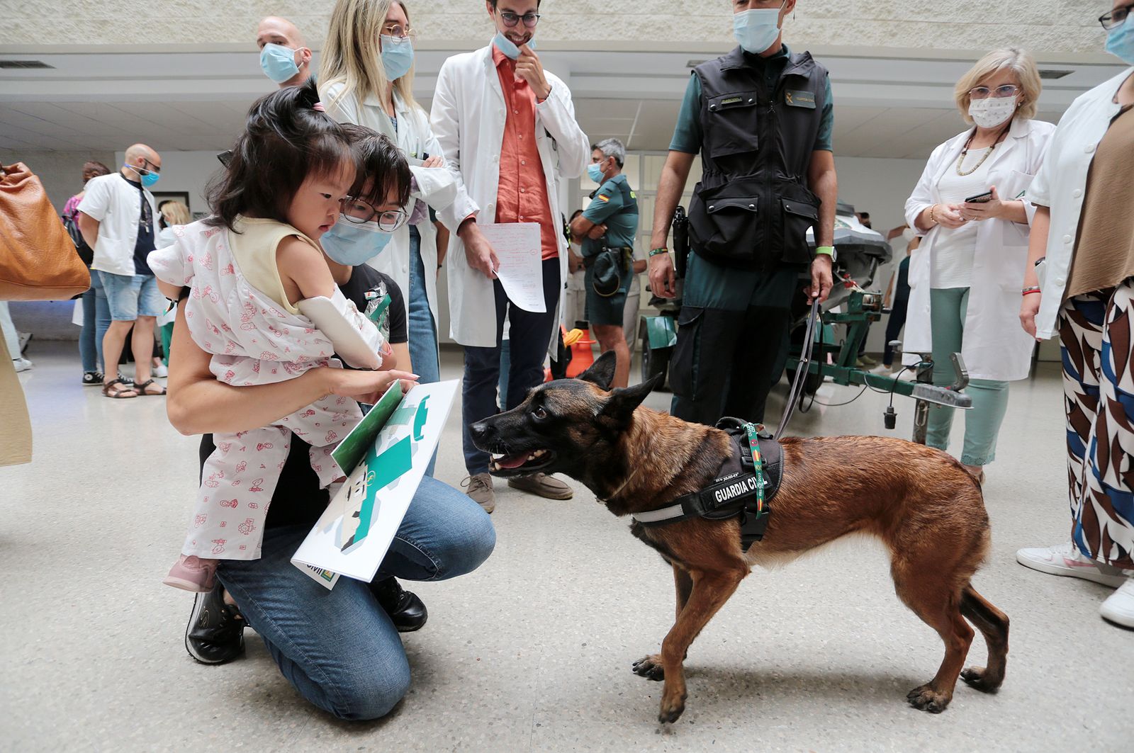 Imágenes de la exhibición de la Guardia Civil en el Hospital Juan Ramón Jiménez con motivo del 35 aniversario de la incorporación de la mujer