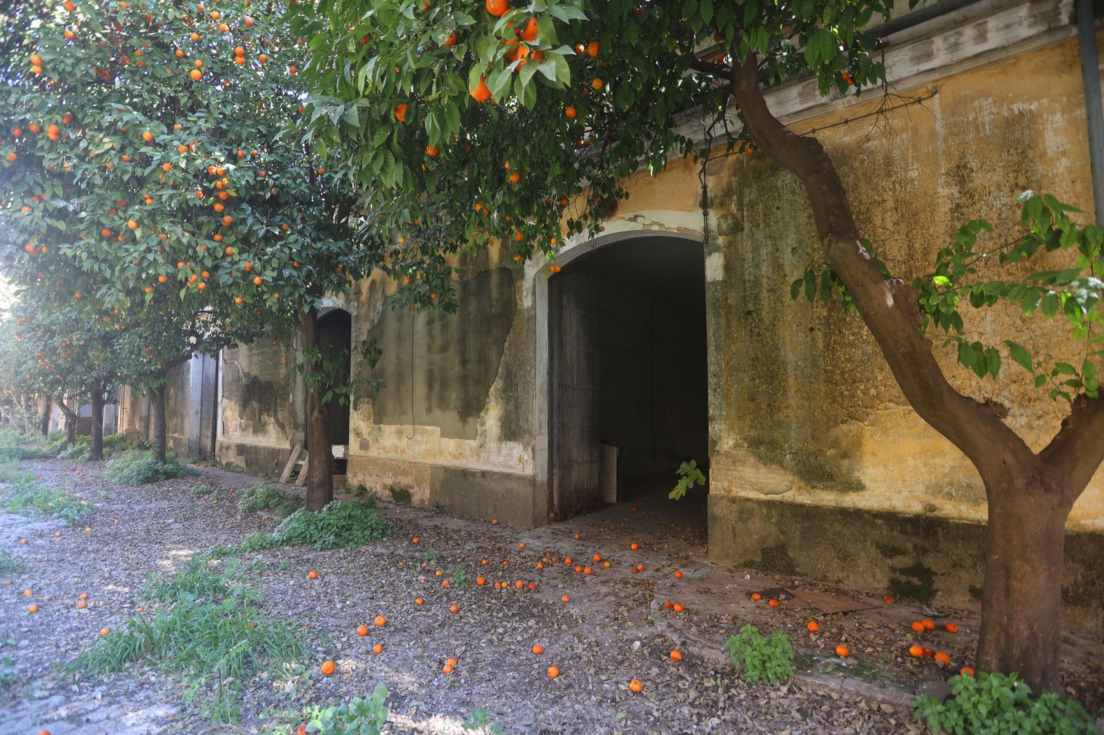 Carolina España visita la antigua fábrica de Artillería