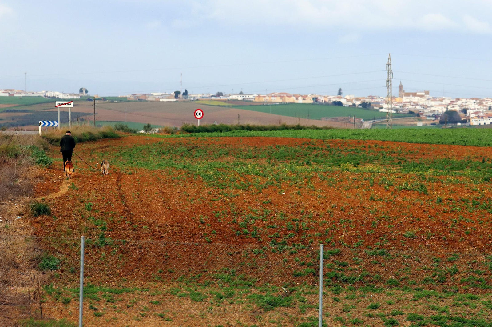 Terrenos en los que se instalará la planta fotovoltaica Chucena Solar, a las afueras de la localidad condal.