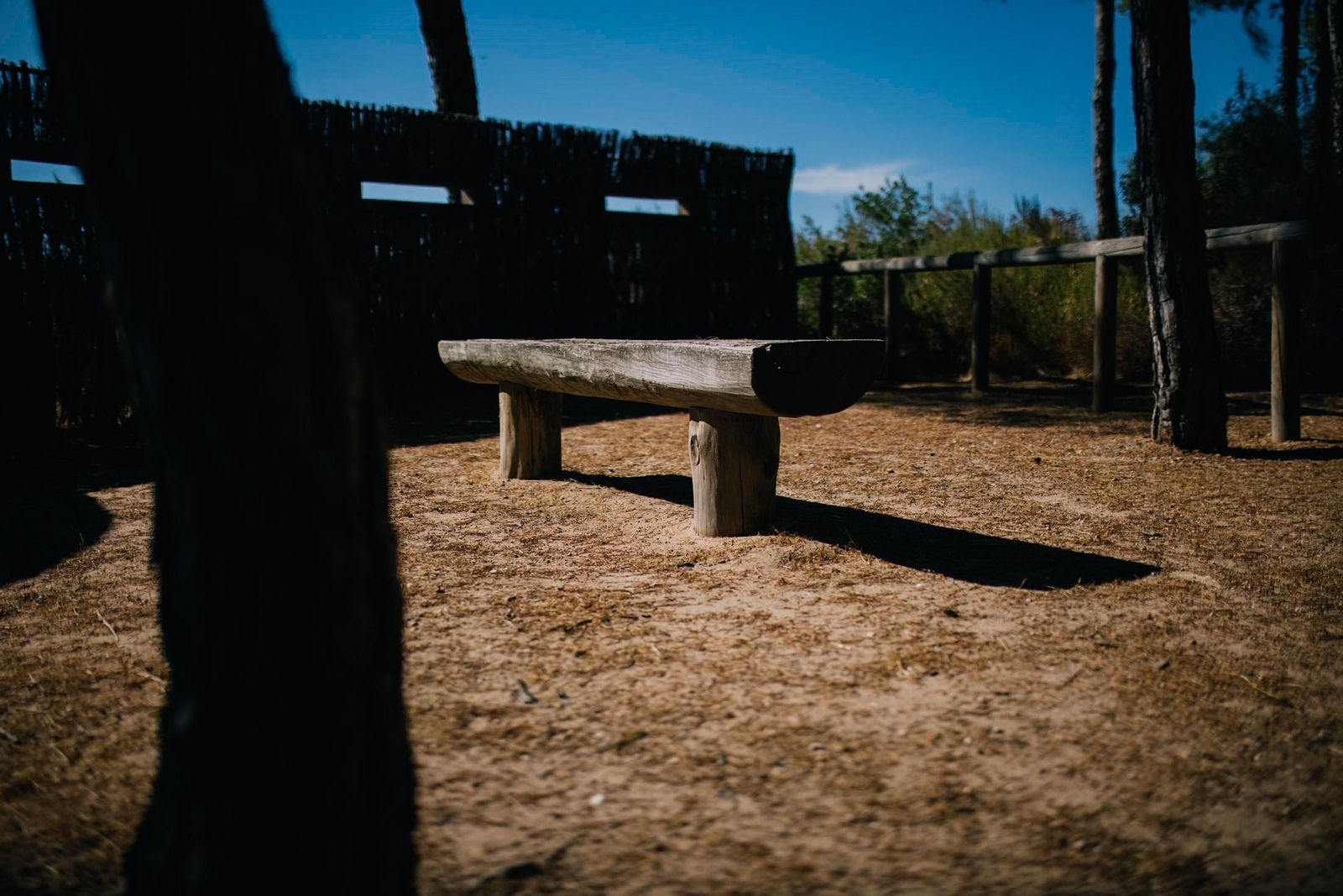 Un recorrido fotográfico por el Paraje Natural Marismas del Odiel