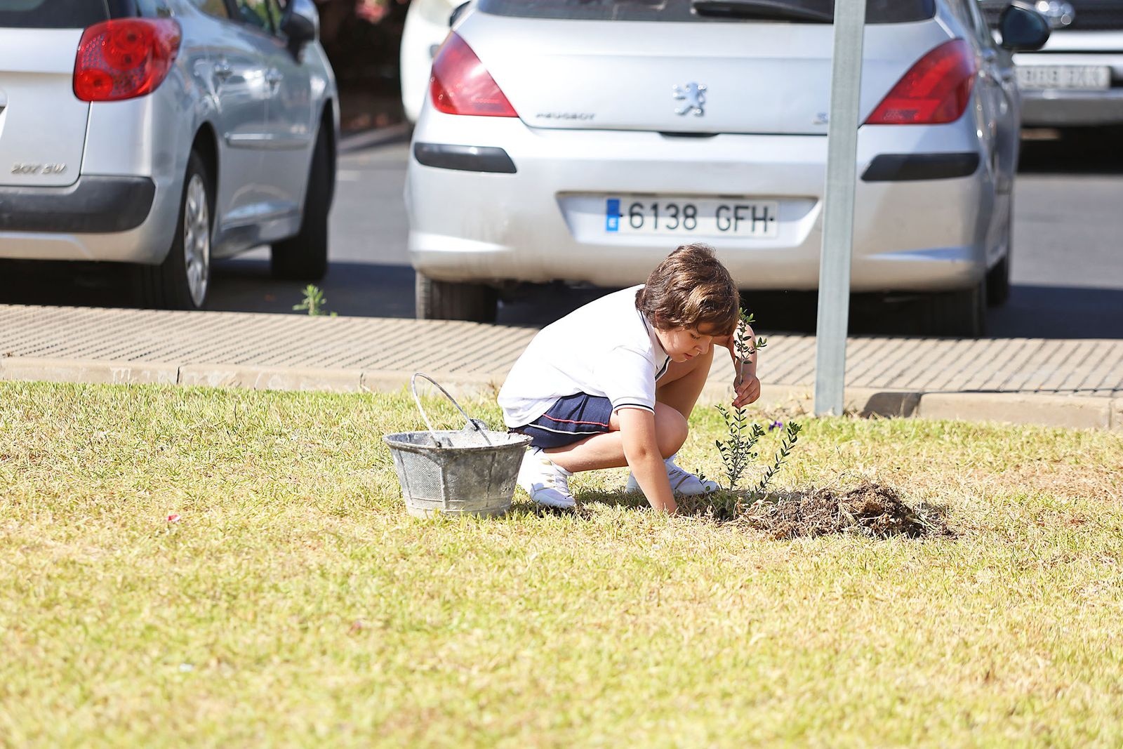 Los alumnos del colegio Virgen del Rocío realizan una plantación de arboles en el Hospital Juan Ramón Jiménez