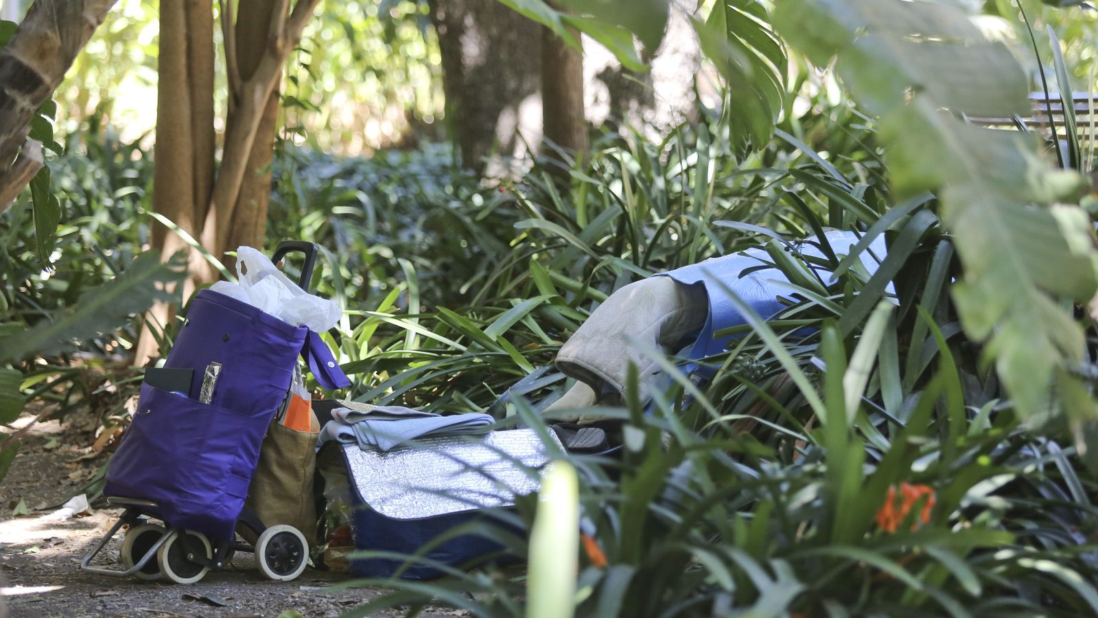 Varias de las pertenencias de los indigentes en el Parque de Málaga