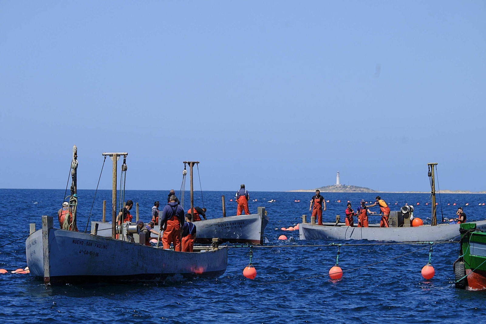 Almadraba de Barbate. Imágenes de la primera 'levantá' de atunes.