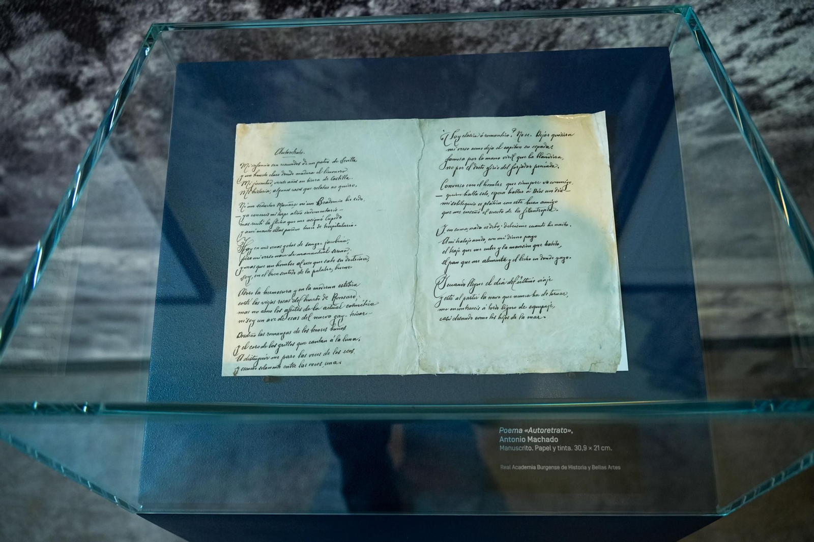 Las imágenes de la visita del Rey a la exposición de los Hermanos Machado en Sevilla