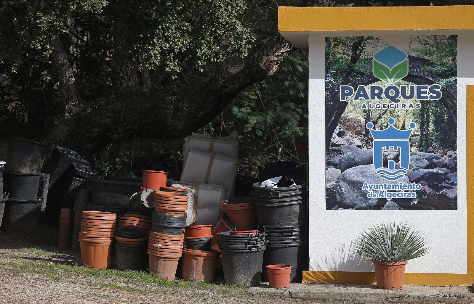 Fotos del vivero municipal de Algeciras