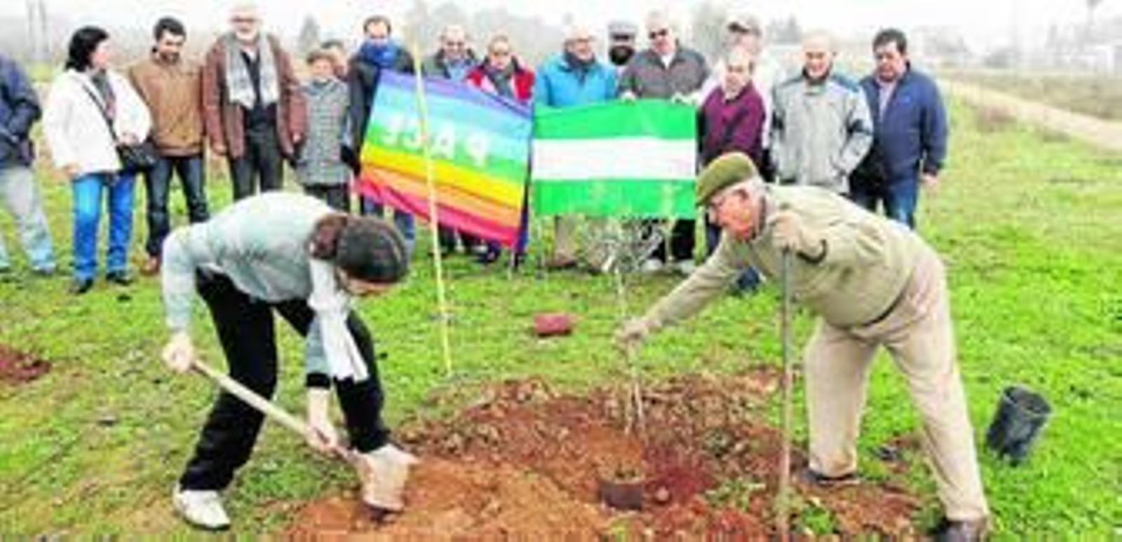 Siembra de un olivo en la zona de los huertos sociales de El Cordel de Écija.