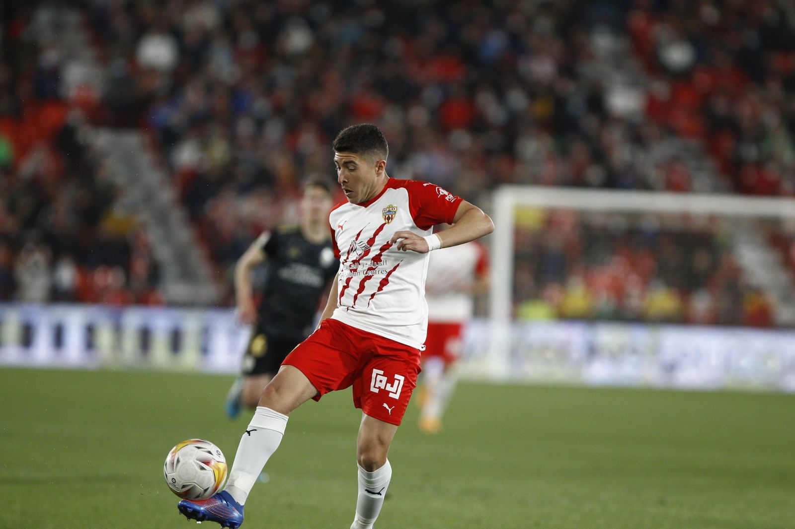 Fotogalería U.D. Almería-S.D. Ponferradina