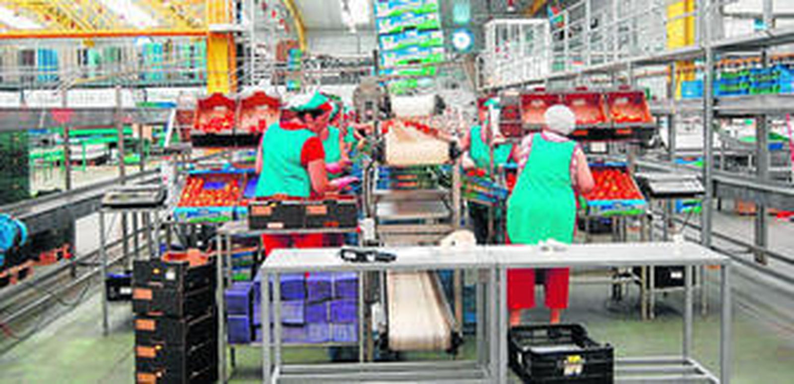 Coexphal ha denunciado el reparto de los fondos del Programa de Desarrollo Rural, pues considera que perjudican al sector hortofrutícola.