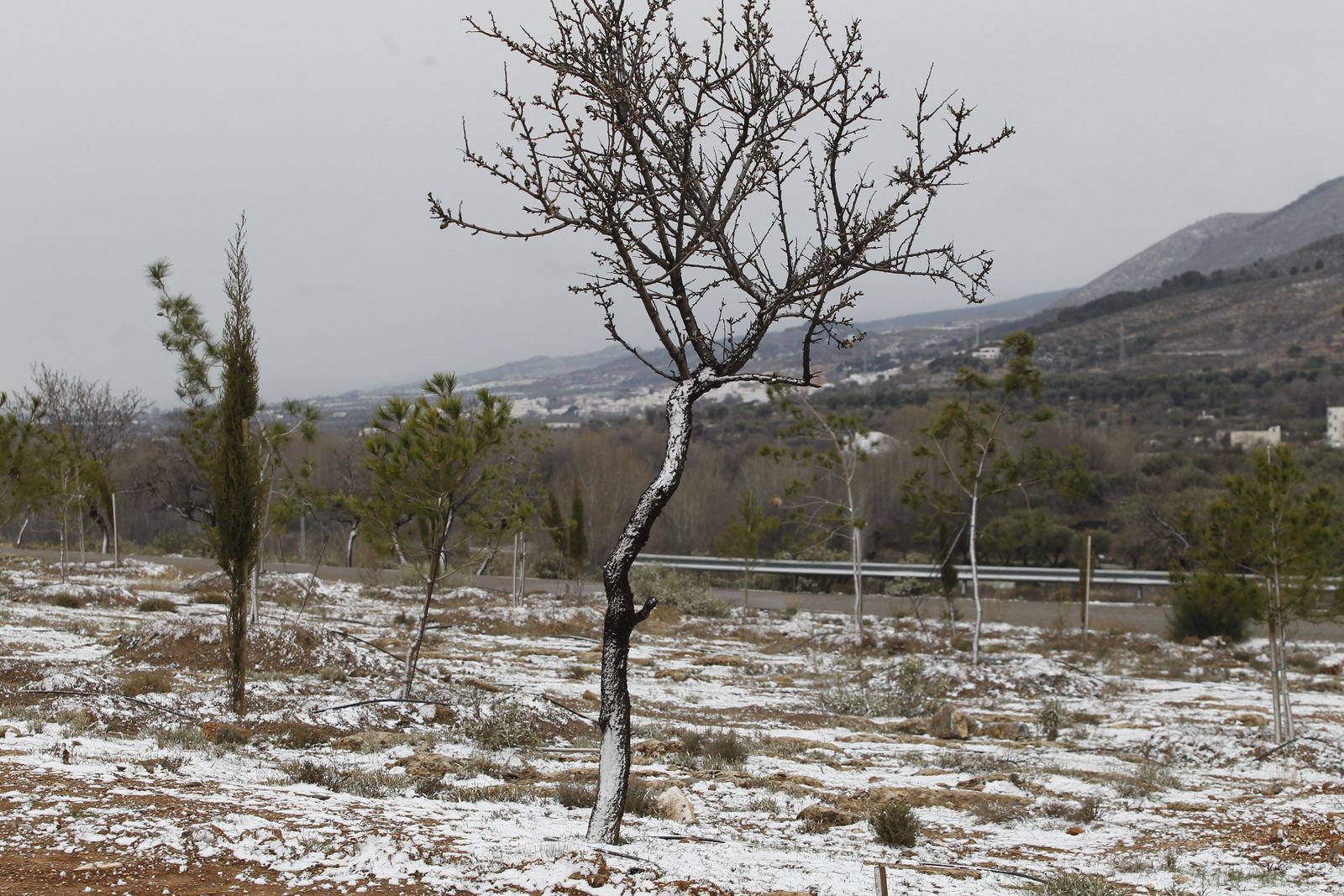 Las imágenes de la ola de frío siberiano