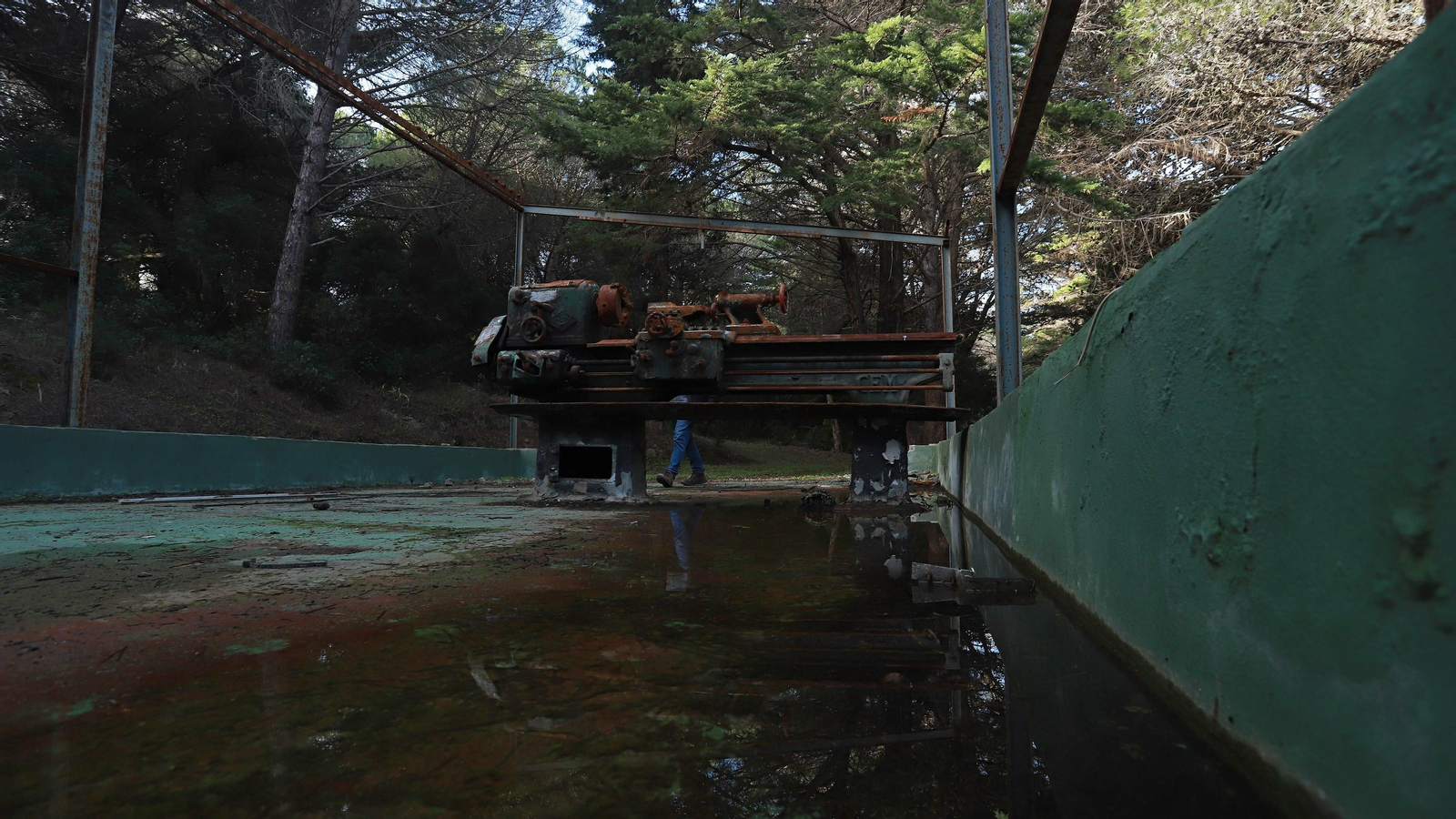 Las mejores fotos de Paloma Alta