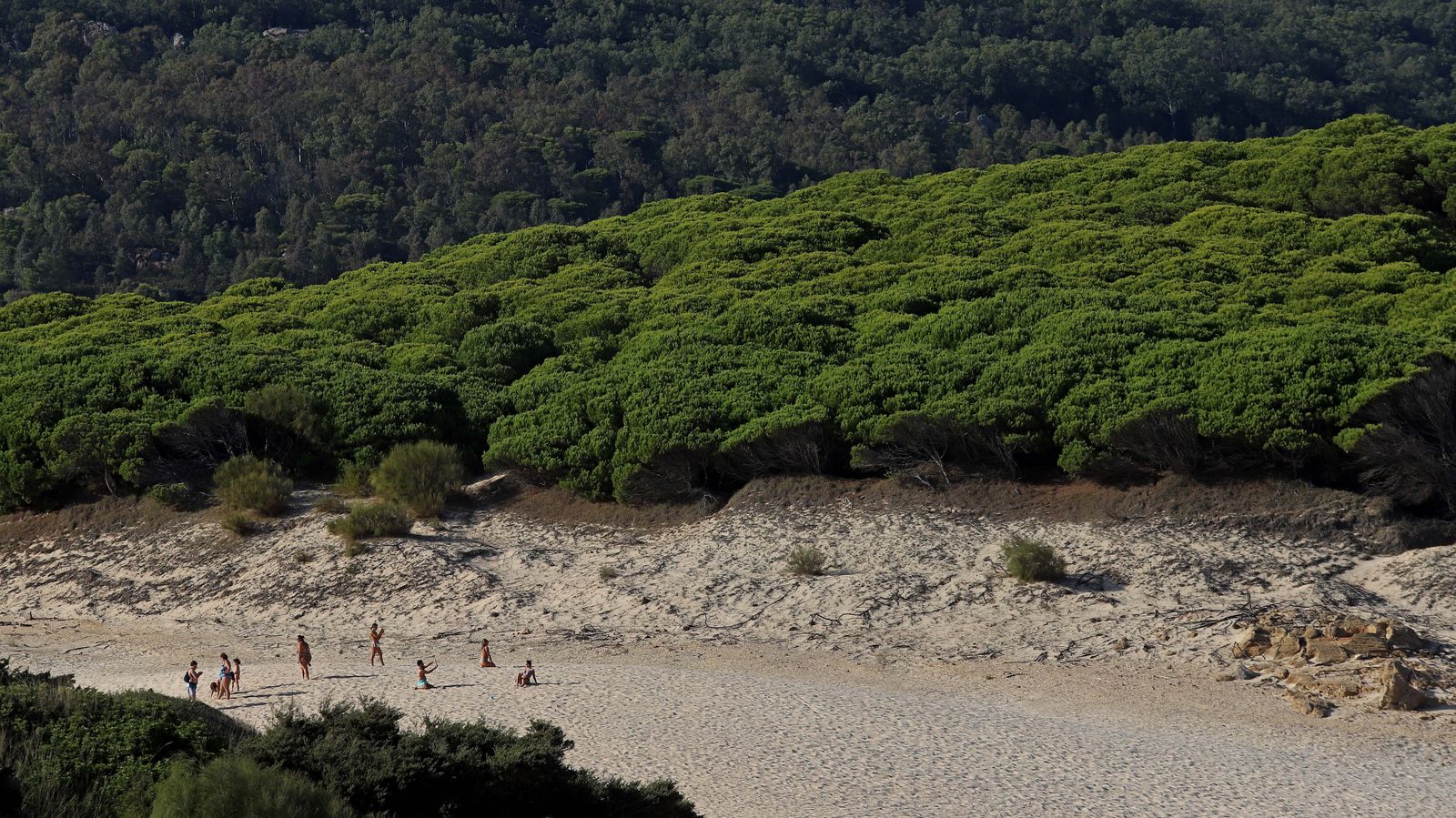 Fotos de la playa de Bolonia