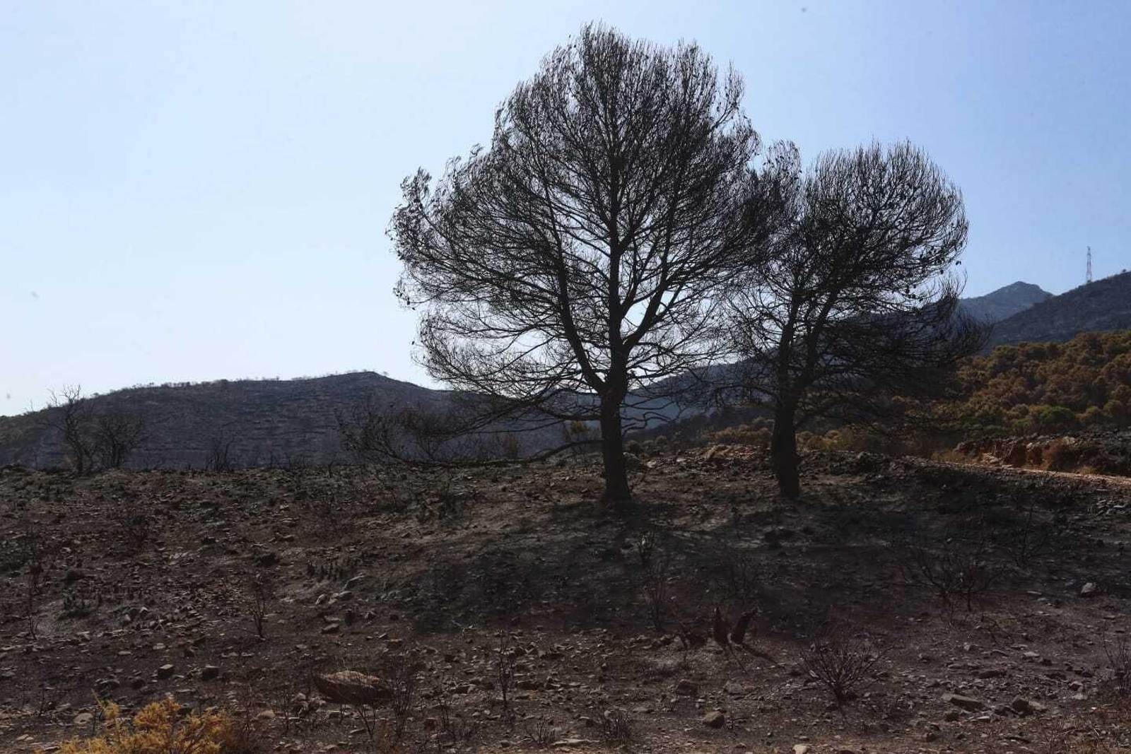 Las fotos de las zonas arrasadas por el incendio en la Sierra de Mijas
