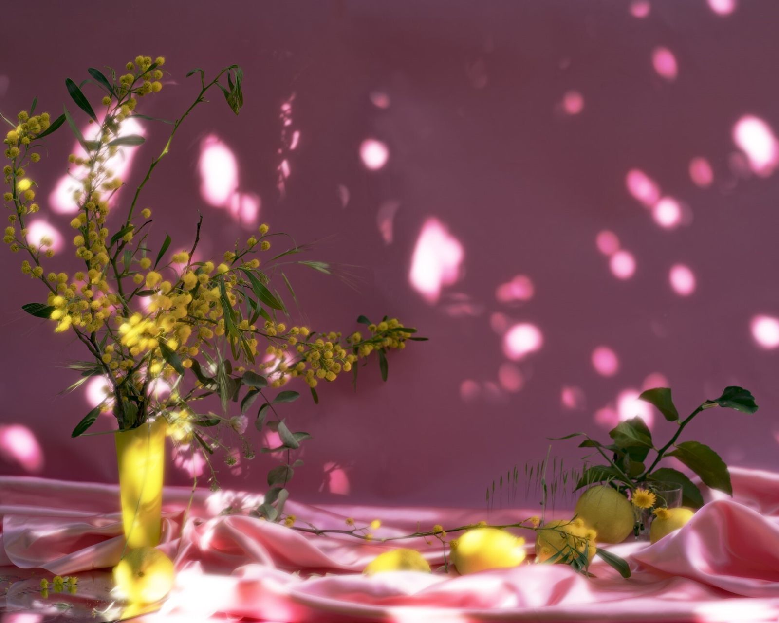 Una de las obras de Inés Gontad.