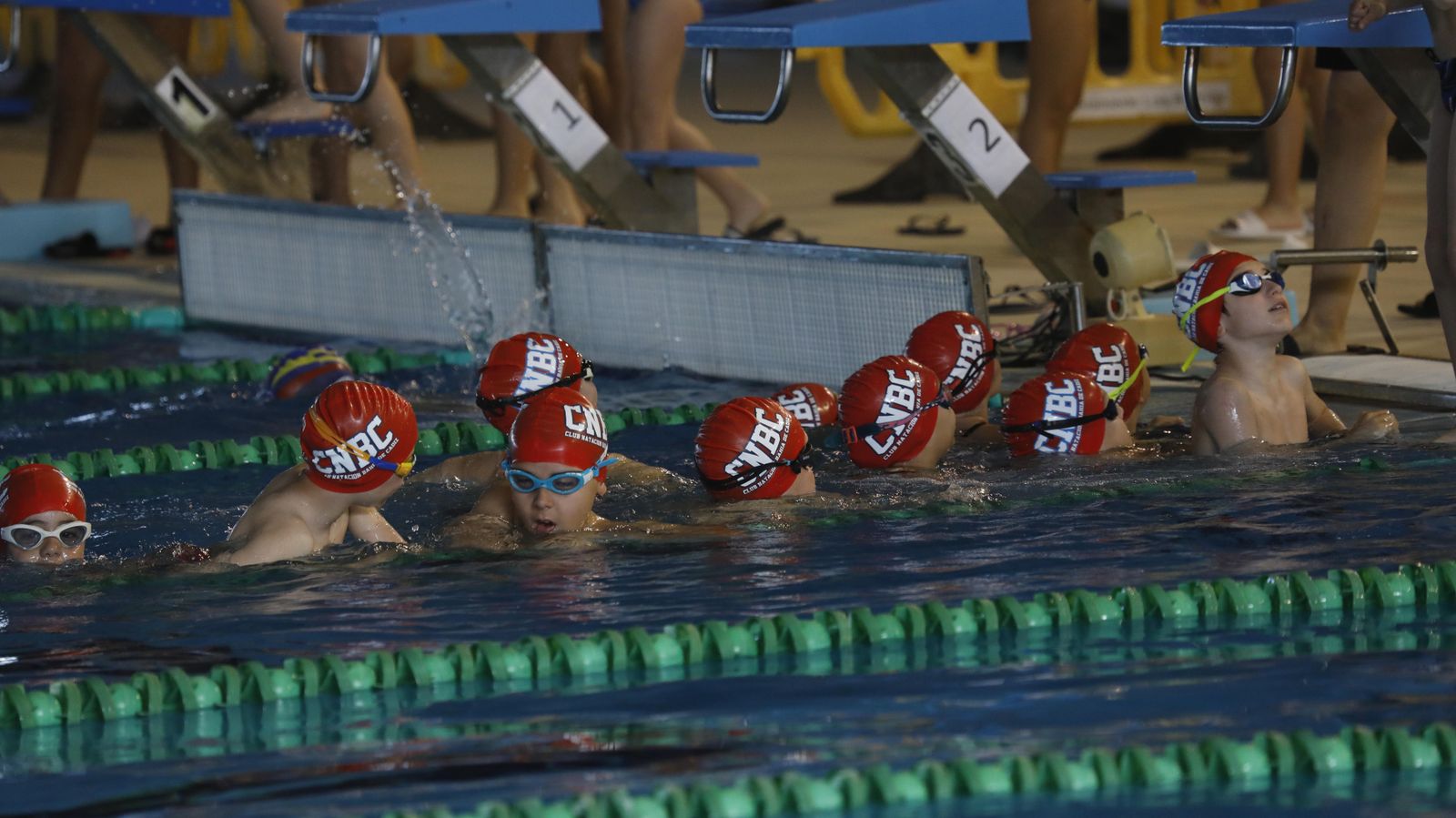 Las fotos del torneo de natación en Los Barrios