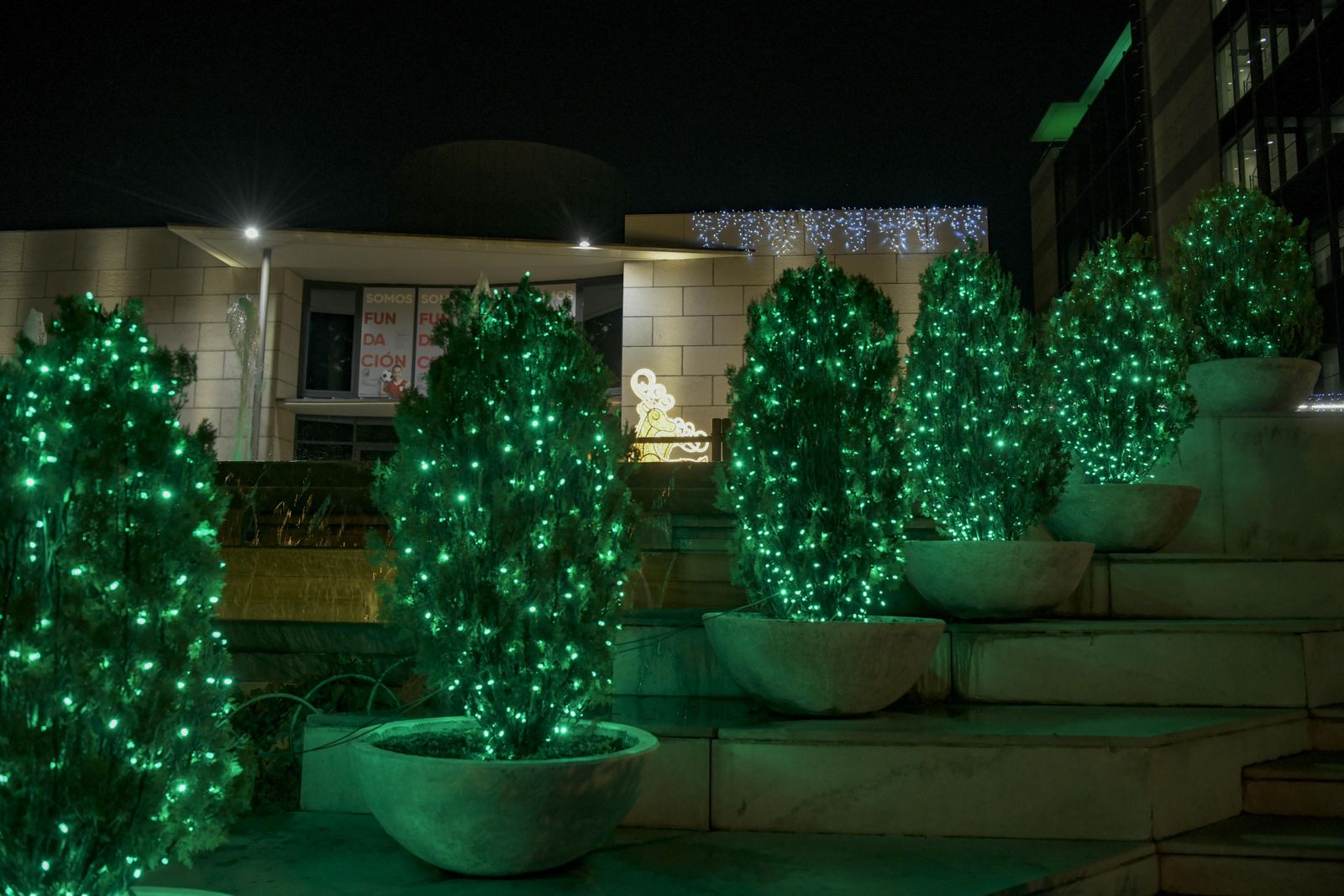 El Banco de Alimentos enciende la Navidad de Caja Rural Granada
