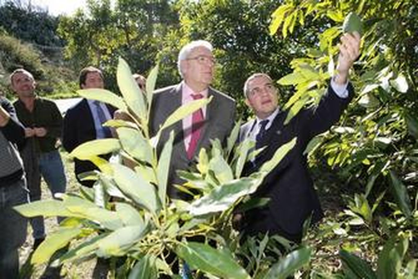 El subdelegado del Gobierno en Málaga (centro), ayer, en La Mayora, con el presidente de la Diputación.