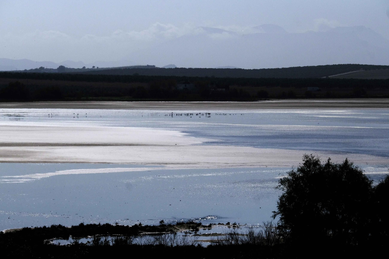 Laguna de Fuente de Piedra tras las lluvias, en fotos