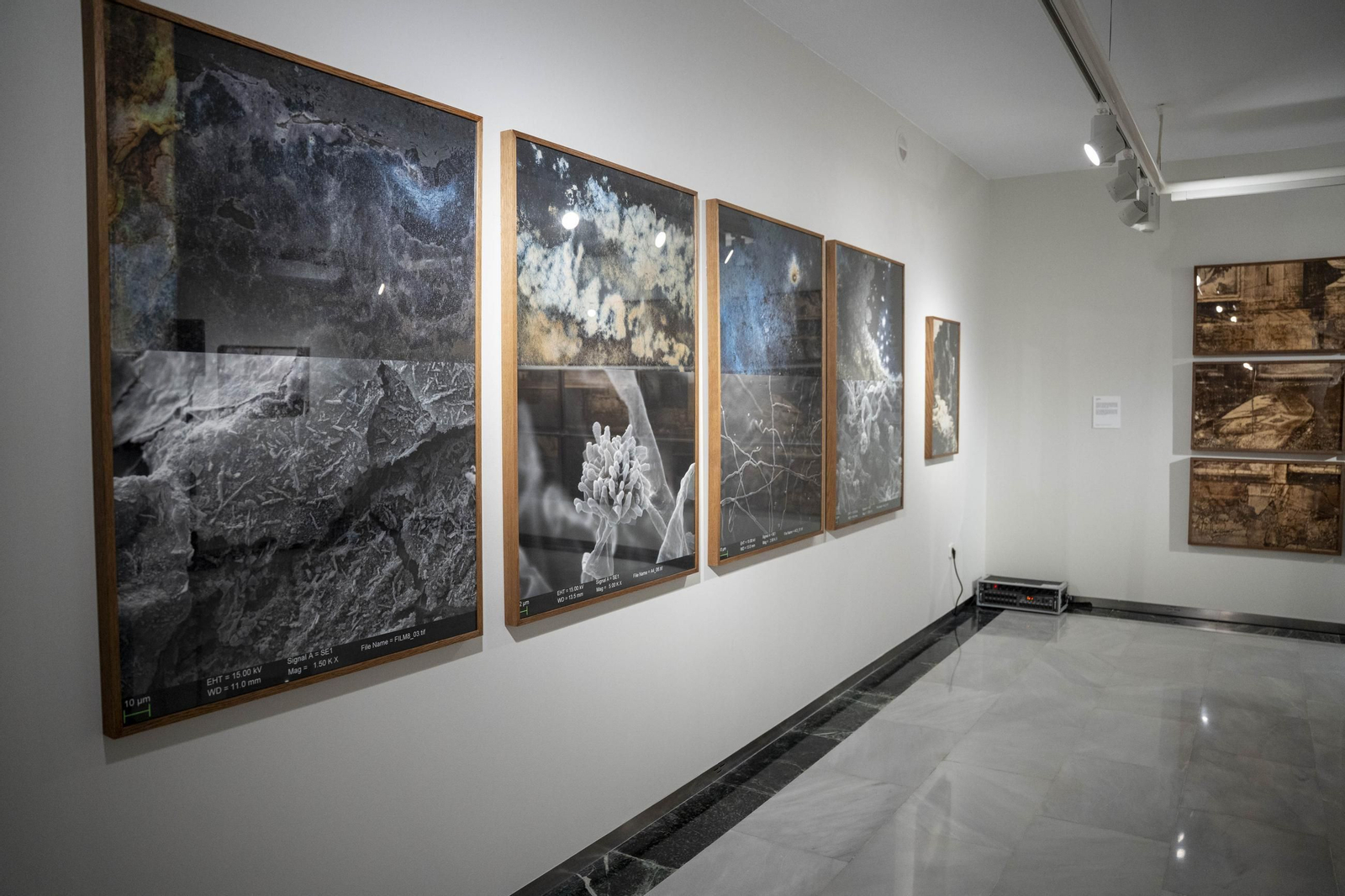 El comisario Sema D'Acosta y el artista Joan Fontcuberta presentan la exposición Háptica de la Fundación Unicaja