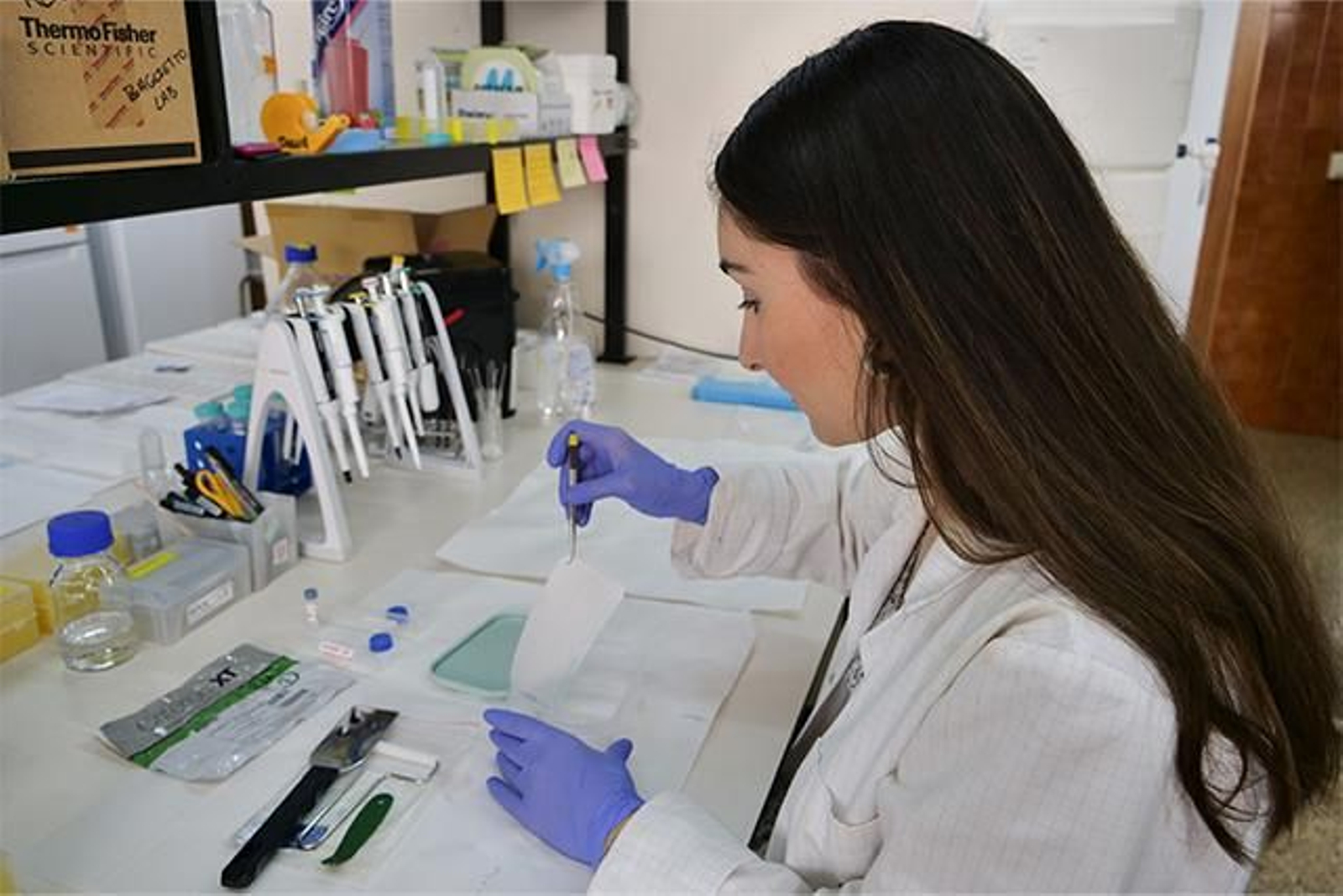 La Universidad de Málaga consigue más de 10 millones de euros para proyectos de investigación.