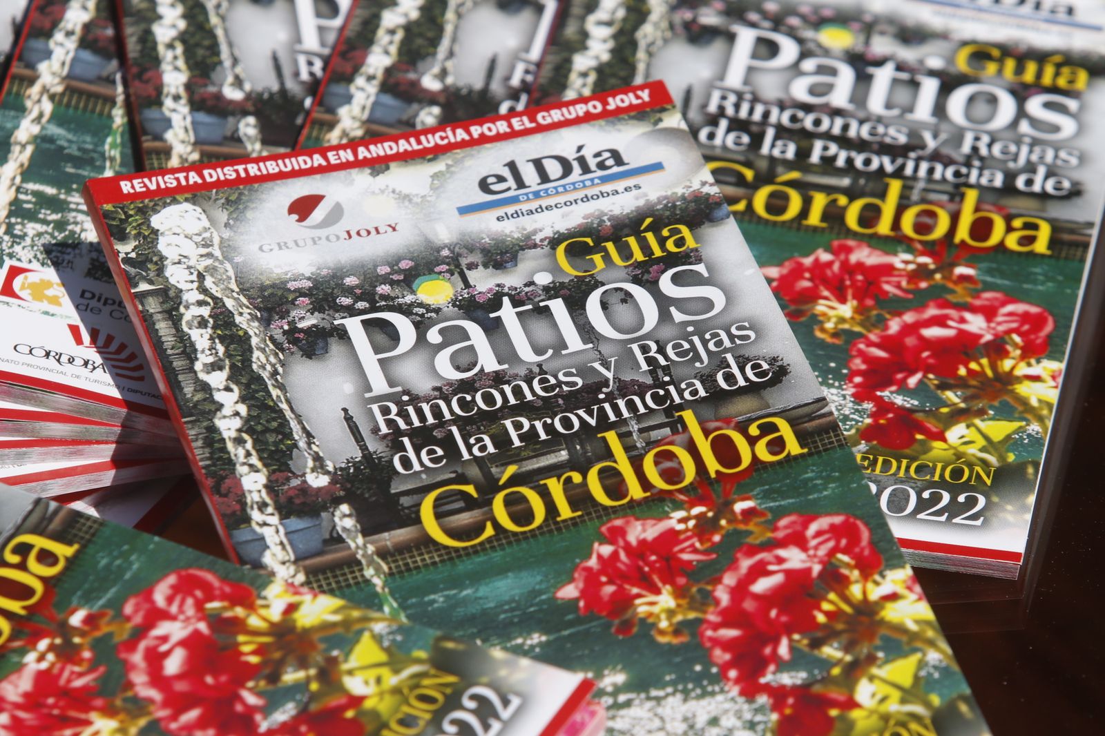 La presentación de la I Guía de Patios de la Provincia, en imágenes