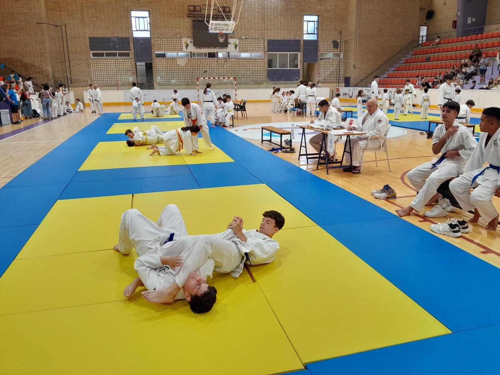 En imágenes: las actividades deportivas de la Feria de la Virgen de la Capilla En imágenes: las actividades deportivas de la Feria de la Virgen de la Capilla