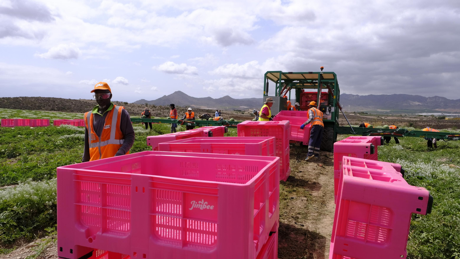 La sandía y el melón de Huércal Overa, manjares en imágenes