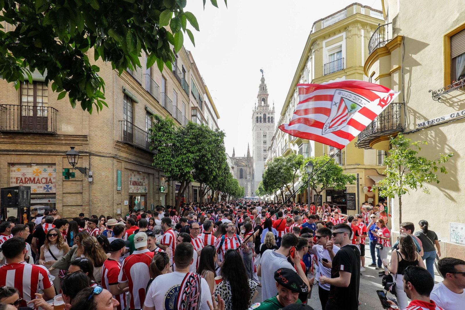 Aficionados del Athletic, en actitud festiva, en la calle Mateos Gago.