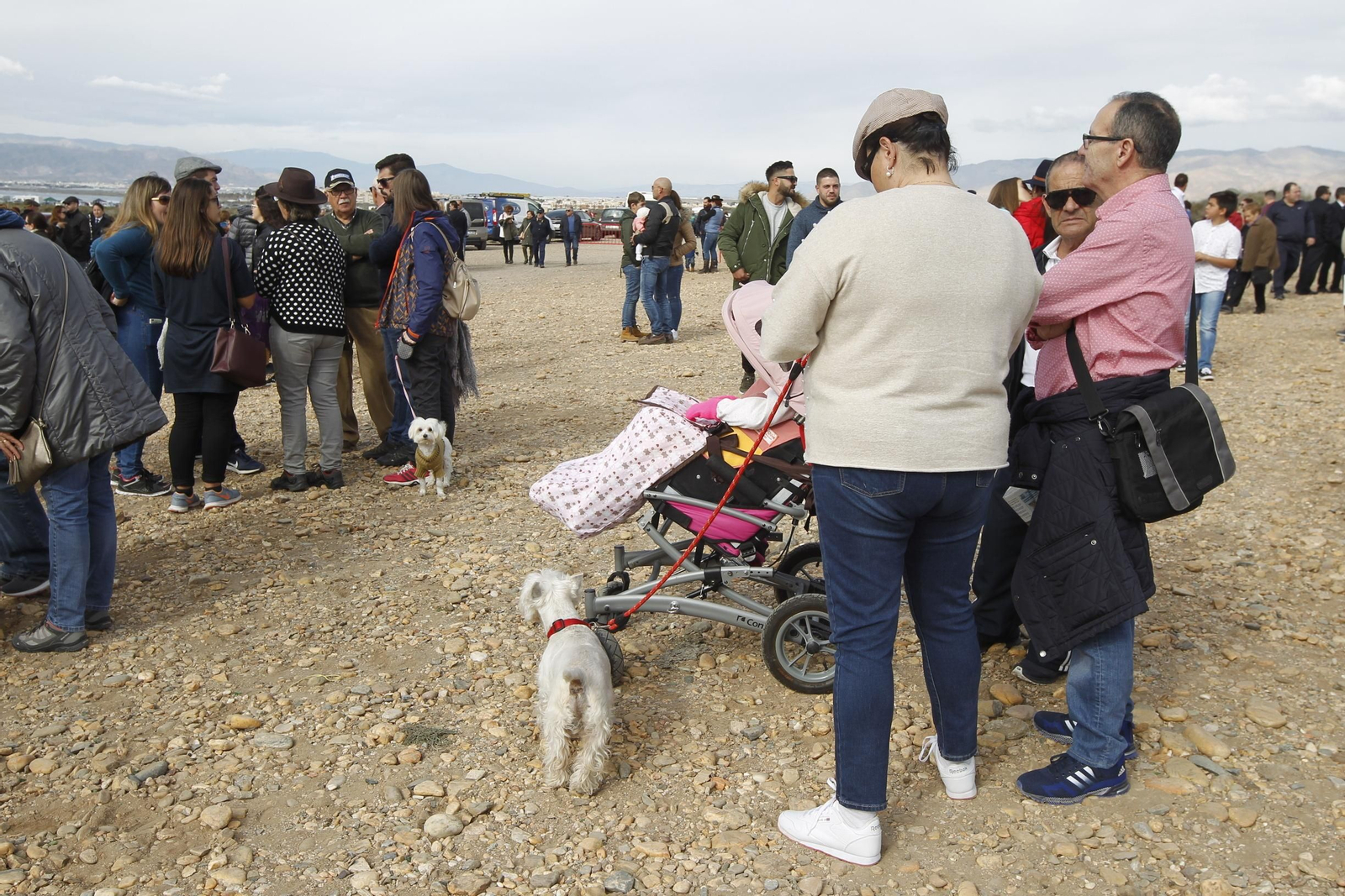Las imágenes de la Romería de Torregarcía