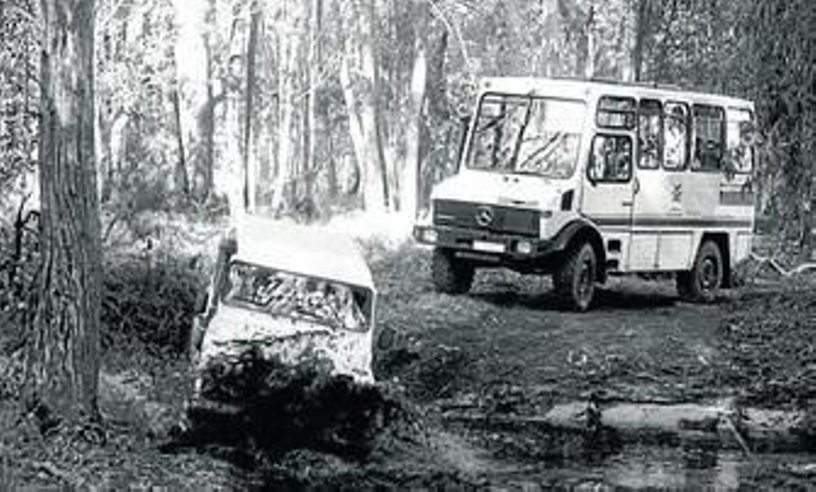 Vehículos todoterreno que circulan por Doñana y que el Ayuntamiento quiere habilitar como transporte público para la conexión con Sanlúcar.