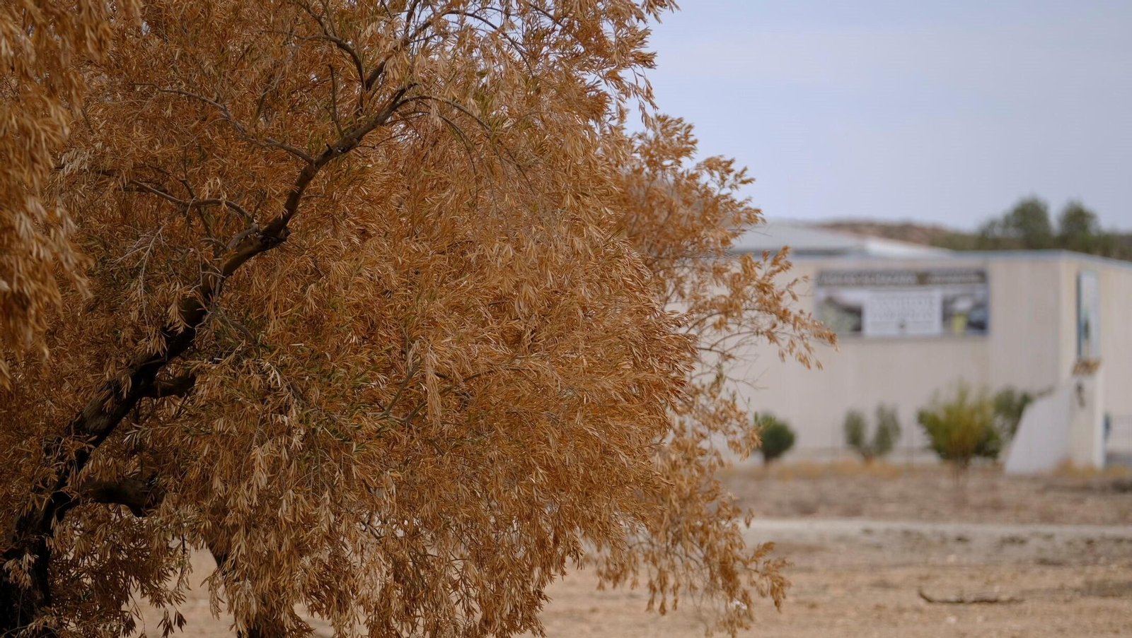 FINANZAS-ECONOMÍA-AGRI (8410034).jpg