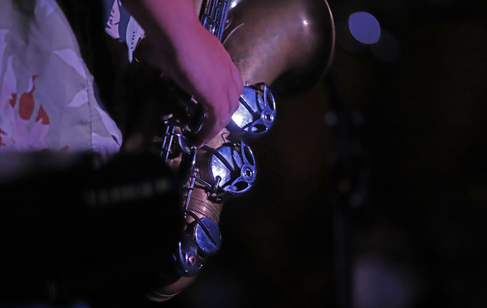 Imágenes de la  celebración del 'VI Ciclo de Jazz en la Calle. Fusión Moderna' de la Fundación Cajasol.