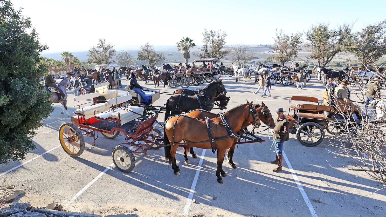 II Ruta Viñas de Jerez