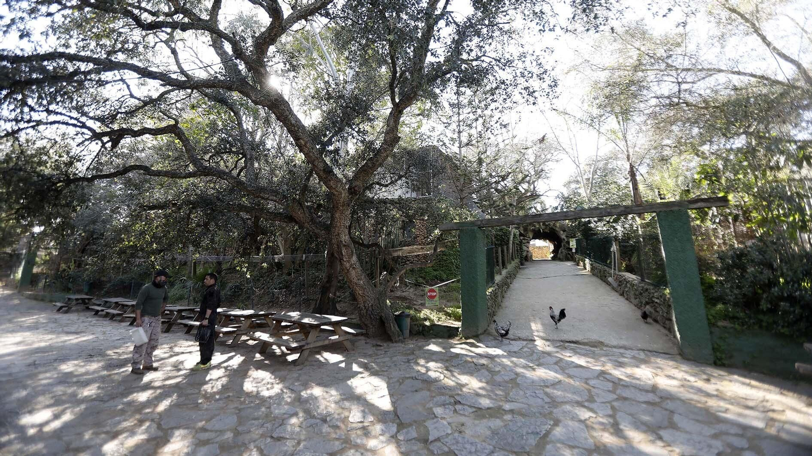 Las fotos del Zoo de Castellar de la Frontera