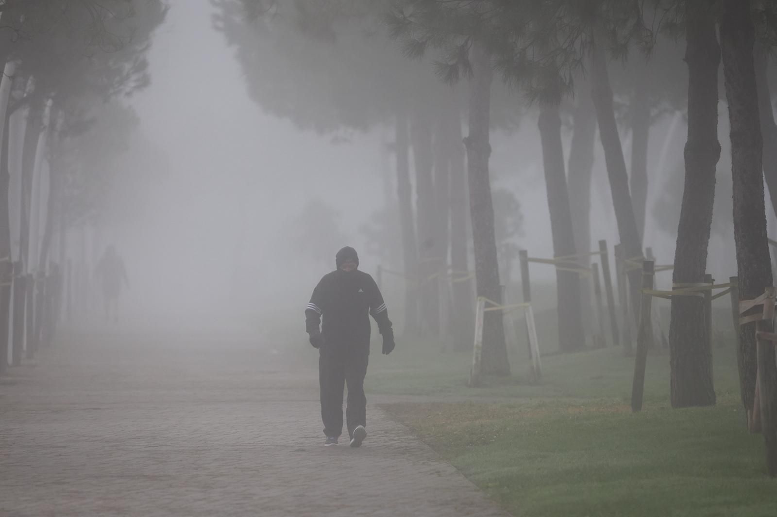 WhatsApp Image 2026-01-14 at 10.33.27