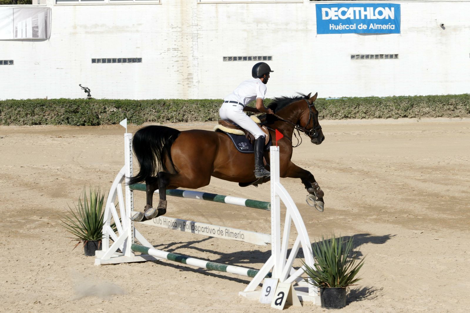 Fotogalería del XLV Concurso Nacional de Salto de Obstáculos