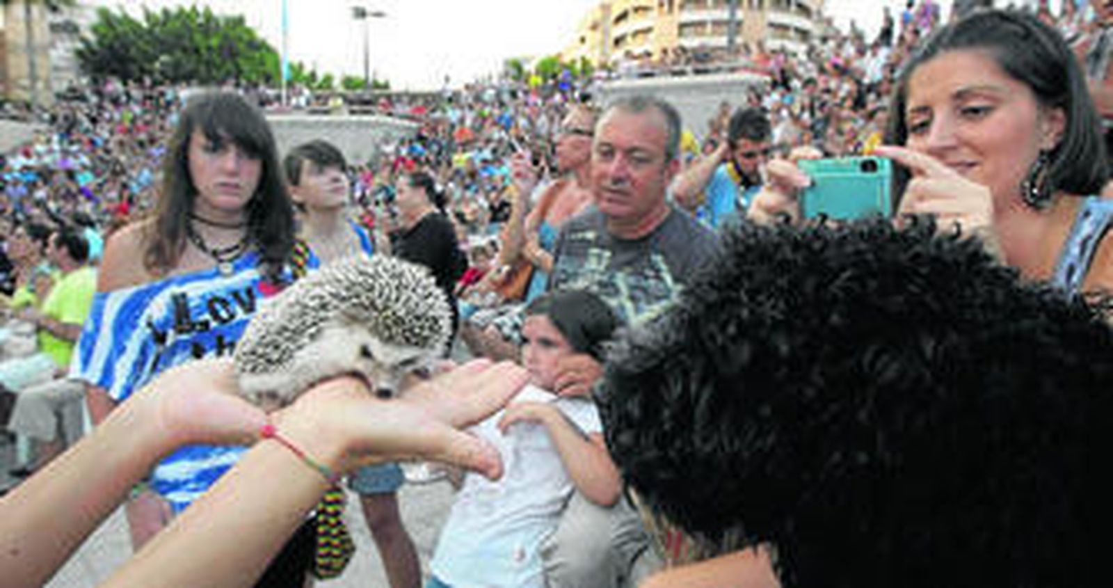 El Anfiteatro de la Rambla estaba a rebosar entre participantes y curiosos.