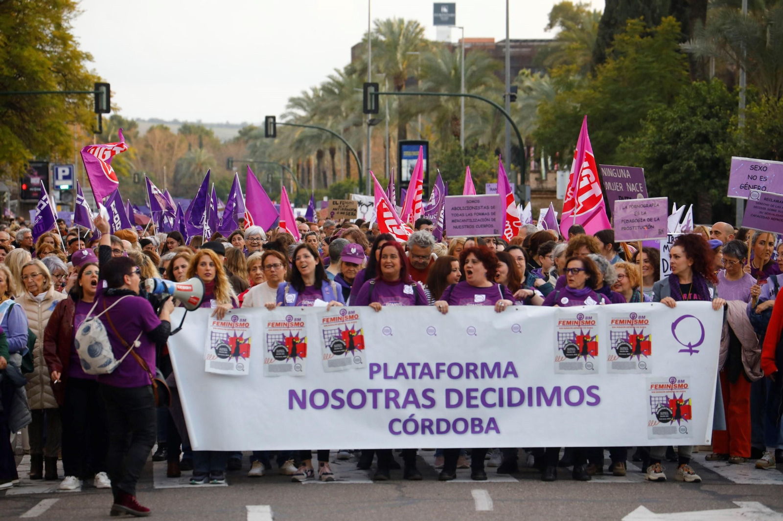 La manifestación del 8M en Córdoba, en imagenes
